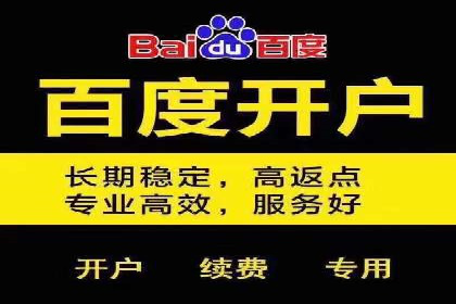 案例剖析：关键词竞价排名成功之道